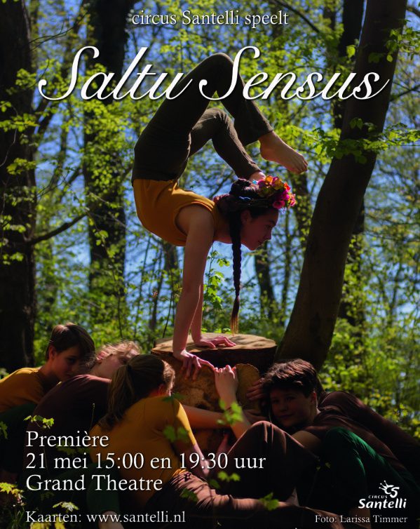 Poster Saltu Sensus